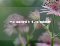 足彩 笔记策略与技巧的深度解析