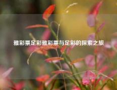 雅彩票足彩雅彩票与足彩的探索之旅