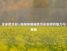足彩胜负彩14场规则揭秘胜负彩游戏的魅力与策略