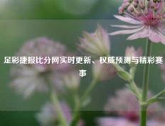 足彩捷报比分网实时更新、权威预测与精彩赛事