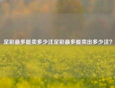 足彩最多能卖多少注足彩最多能卖出多少注？