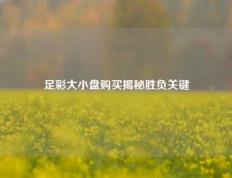 足彩大小盘购买揭秘胜负关键