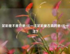 足彩是不是也是2元一注足彩是否真的是2元一注？
