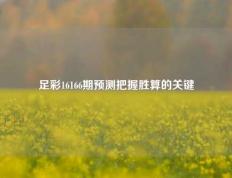 足彩16166期预测把握胜算的关键