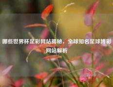 哪些世界杯足彩网站揭秘，全球知名足球博彩网站解析