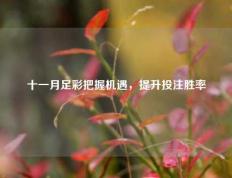 十一月足彩把握机遇，提升投注胜率