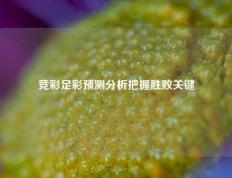 竞彩足彩预测分析把握胜败关键