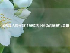 足彩红人馆宇哥仔揭秘地下赌场的黑幕与真相
