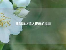 足彩教材深入浅出的指南