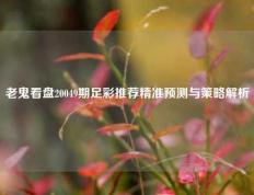 老鬼看盘20049期足彩推荐精准预测与策略解析