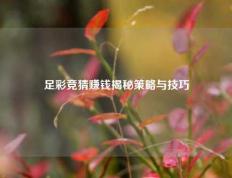 足彩竞猜赚钱揭秘策略与技巧
