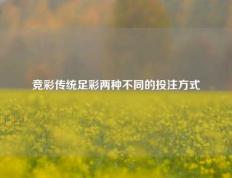 竞彩传统足彩两种不同的投注方式