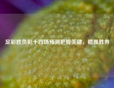 足彩胜负彩十四场预测把握关键，稳操胜券