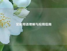 足彩用语理解与应用指南