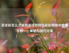 买足彩怎么才能稳赢钱如何在足彩市场中稳赚不赔——策略与技巧分享