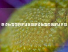 新浪体育国际足球足彩新浪体育国际足球足彩