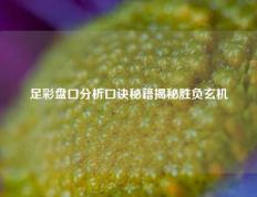 足彩盘口分析口诀秘籍揭秘胜负玄机
