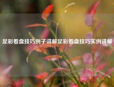 足彩看盘技巧例子讲解足彩看盘技巧实例讲解