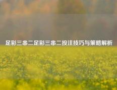 足彩三串二足彩三串二投注技巧与策略解析