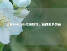 足彩18003分析把握胜算，赢得更多奖金