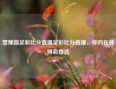 雪豫园足彩比分直播足彩比分直播，你的在线博彩首选