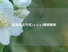 足彩投注方式2×12×1策略解析