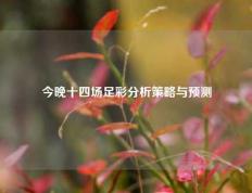 今晚十四场足彩分析策略与预测