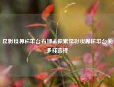足彩世界杯平台有哪些探索足彩世界杯平台的多样选择