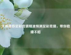 大神推荐足彩竞猜精准预测足彩竞猜，带你稳赚不赔
