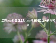足彩18028期亚盘足彩18028期亚洲盘口分析与预测
