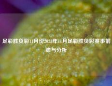 足彩胜负彩11月份2023年11月足彩胜负彩赛事前瞻与分析