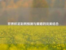 世界杯足彩网预测与策略的完美结合