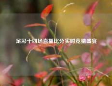 足彩十四场直播比分实时竞猜盛宴