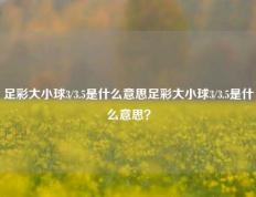 足彩大小球3/3.5是什么意思足彩大小球3/3.5是什么意思？