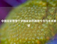 中国足彩我那个中国足彩的前世今生与未来展望