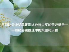 足彩比分中奖单足彩比分与中奖的奇妙组合——揭秘彩票投注中的策略和乐趣