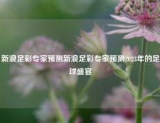 新浪足彩专家预测新浪足彩专家预测2023年的足球盛宴