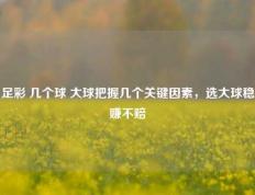 足彩 几个球 大球把握几个关键因素，选大球稳赚不赔