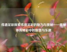 伟德足彩探索伟德足彩的魅力与奥秘——揭秘体育博彩中的智慧与乐趣