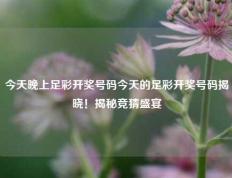今天晚上足彩开奖号码今天的足彩开奖号码揭晓！揭秘竞猜盛宴