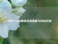 足彩17165期揭秘竞猜策略与风险控制