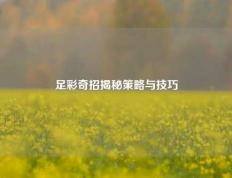 足彩奇招揭秘策略与技巧