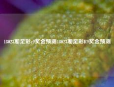 18023期足彩r9奖金预测18023期足彩R9奖金预测