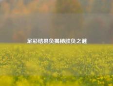 足彩结果负揭秘胜负之谜