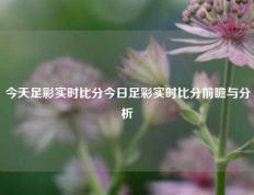今天足彩实时比分今日足彩实时比分前瞻与分析