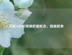 足彩14分析预测把握机会，稳操胜券