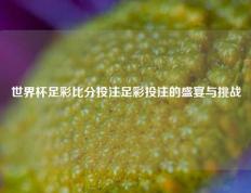 世界杯足彩比分投注足彩投注的盛宴与挑战