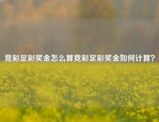 竞彩足彩奖金怎么算竞彩足彩奖金如何计算？