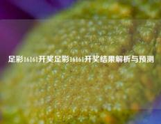 足彩16161开奖足彩16161开奖结果解析与预测