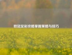 欧冠足彩攻略掌握策略与技巧